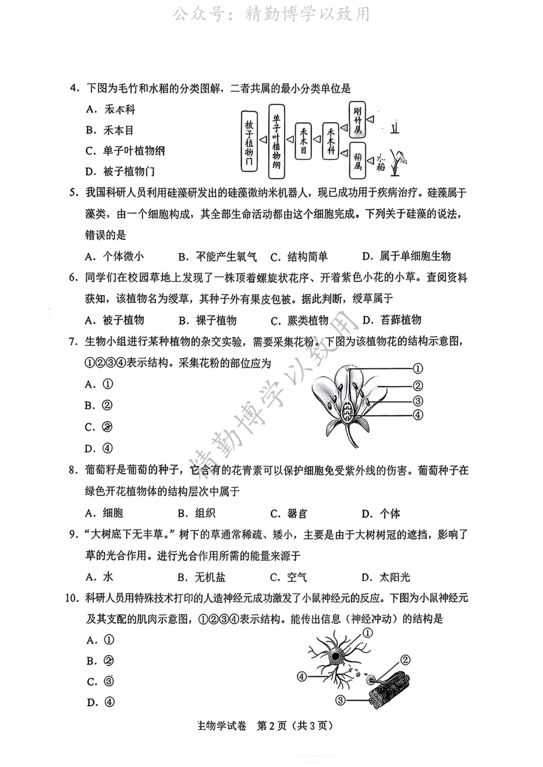 2026年河北中考试卷-第2张图片-四季读书网