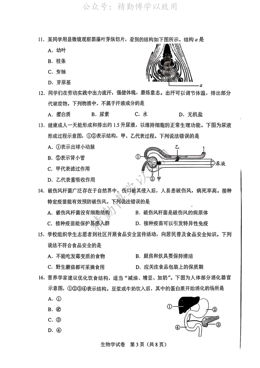 2026年河北中考试卷-第3张图片-四季读书网