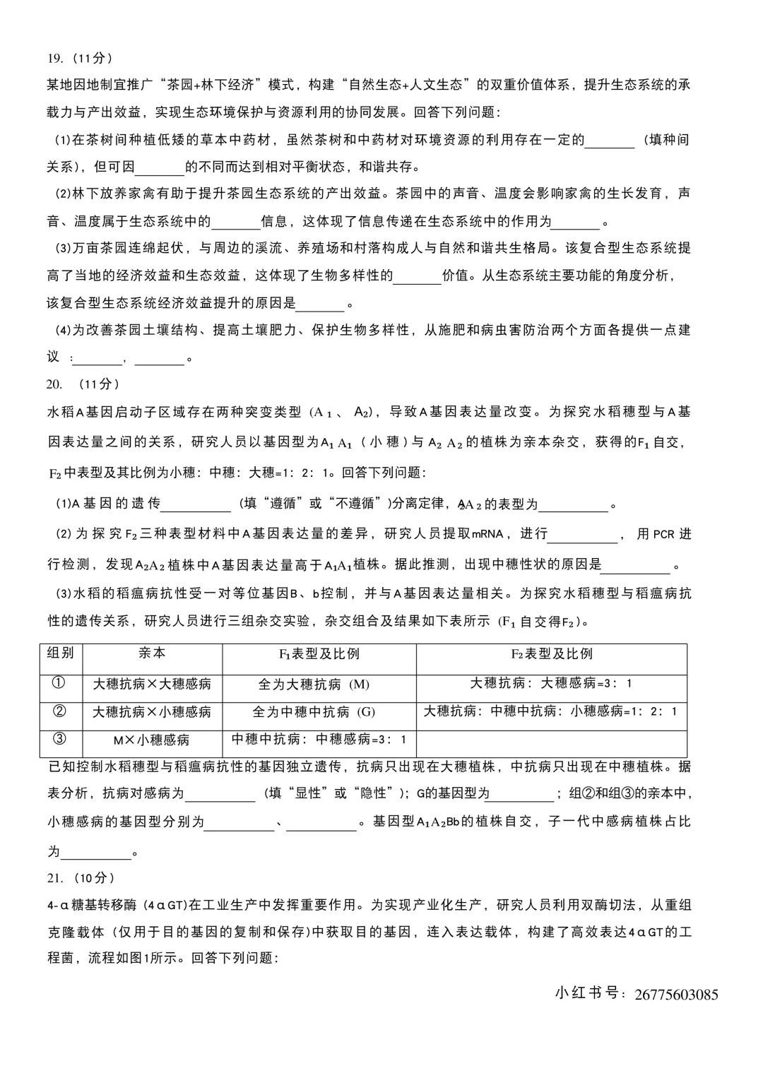 【高考真题回顾】河南省2026高考真题 九科试卷(网络搜集版)-第22张图片-四季读书网