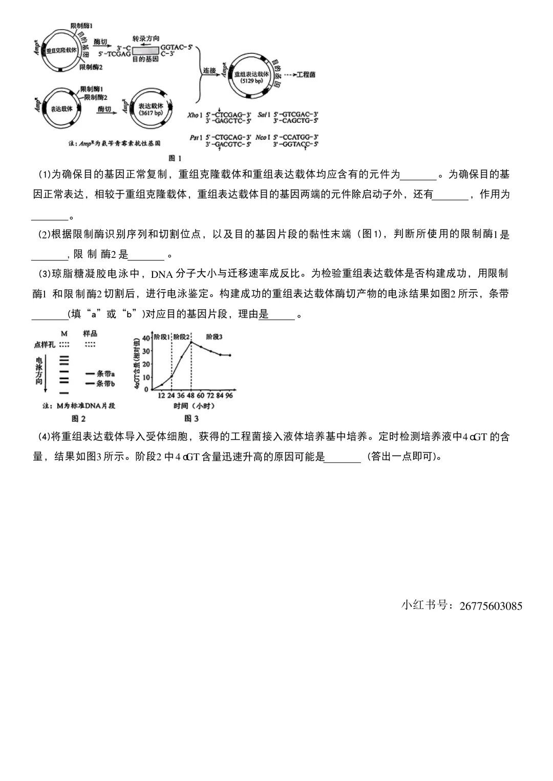 【高考真题回顾】河南省2026高考真题 九科试卷(网络搜集版)-第23张图片-四季读书网
