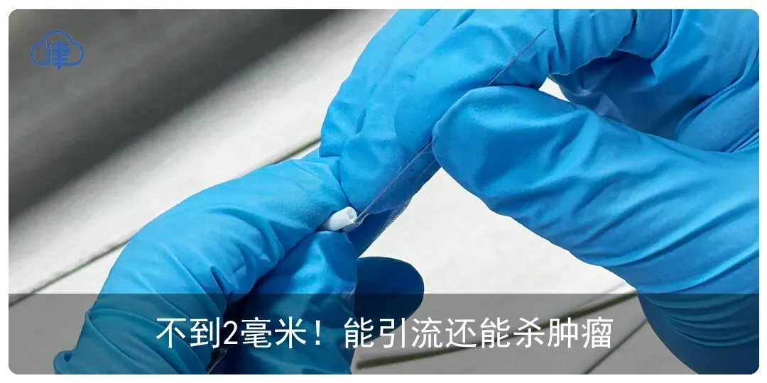2026津云中考招生访谈:天津市第五十七中学、天津市第二新华中学、天津市第四十三中学、天津市第一〇二中学津华学校-第8张图片-四季读书网