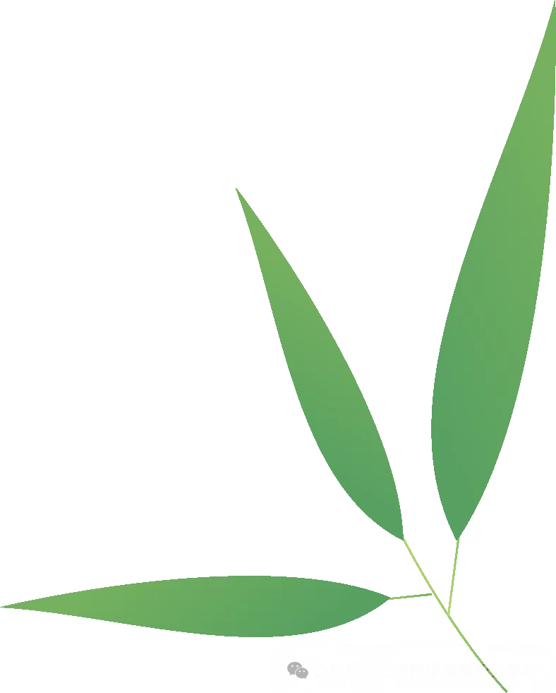 拒绝“躺平”等成绩!中考后的黄金空窗期,千万别浪费!-第15张图片-四季读书网