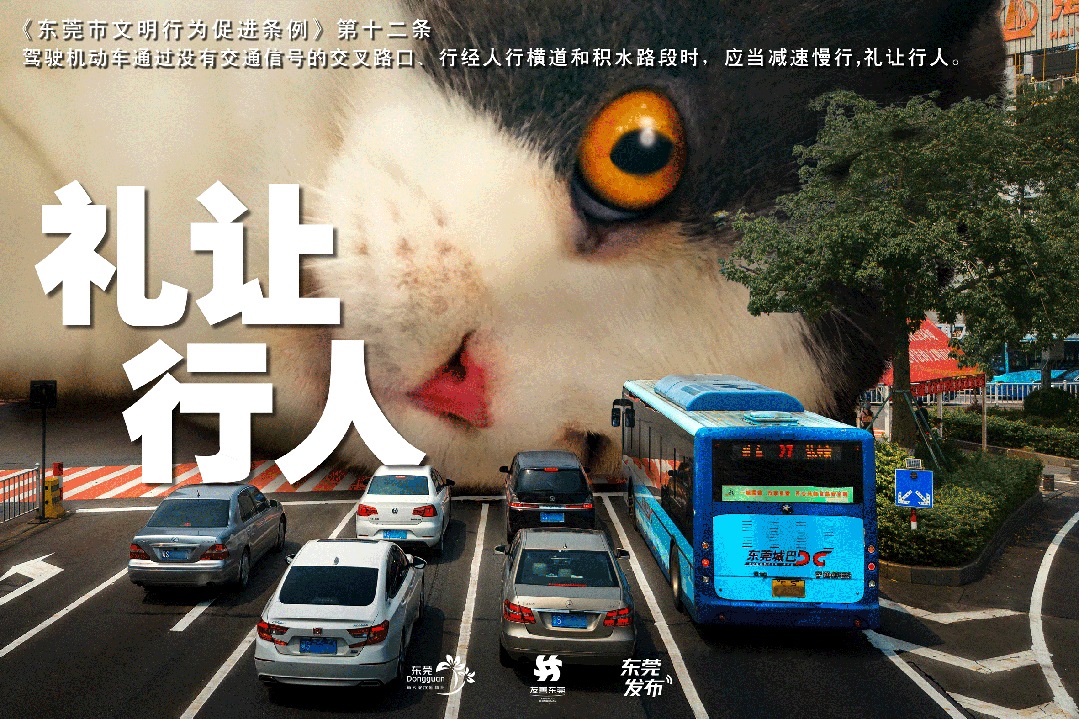 中考期间,常平考点周边路段实施交通管制-第13张图片-四季读书网