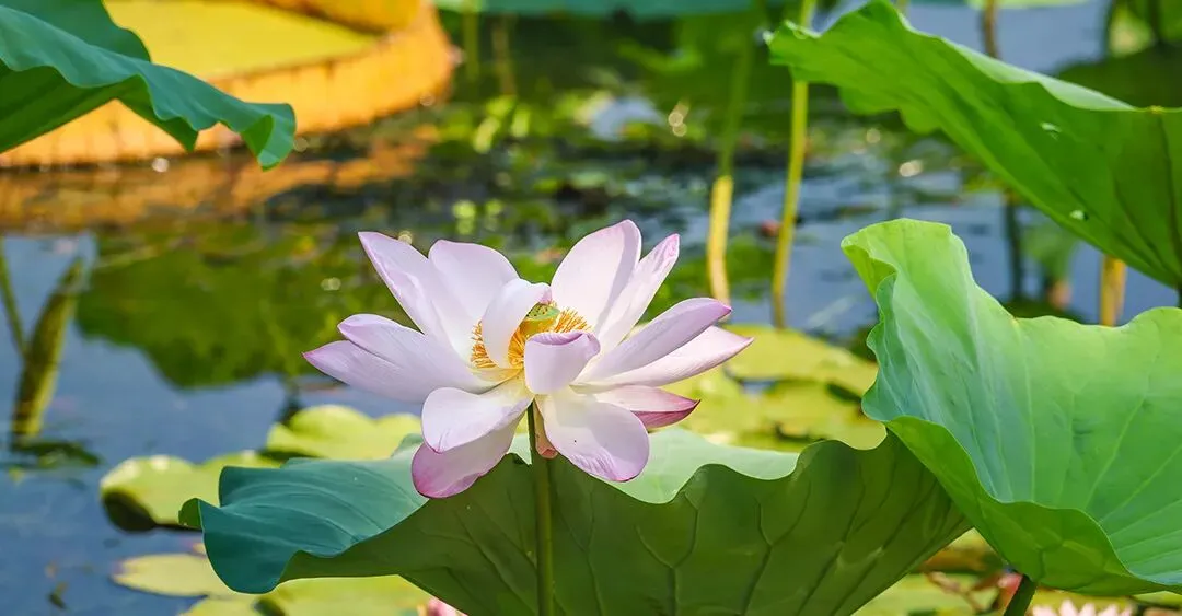 中考结束才是分水岭:无数优等生,高一第一次月考就滑铁卢-第28张图片-四季读书网
