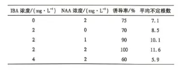 2026河北高考生物真题与答案-第3张图片-四季读书网