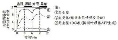 2026河北高考生物真题与答案-第4张图片-四季读书网