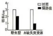 2026河北高考生物真题与答案-第9张图片-四季读书网