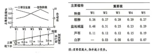 2026河北高考生物真题与答案-第10张图片-四季读书网