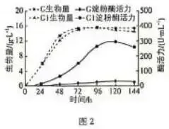 2026河北高考生物真题与答案-第13张图片-四季读书网