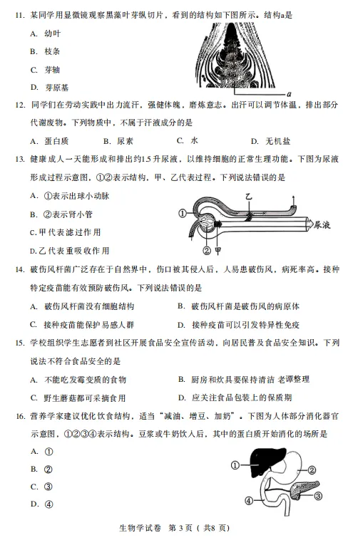 中考真题原卷:河北省2026年中考语文、数学、化学、历史、生物试题(无答案)-第38张图片-四季读书网