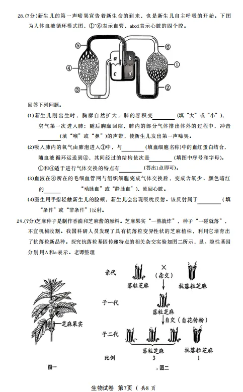 中考真题原卷:河北省2026年中考语文、数学、化学、历史、生物试题(无答案)-第42张图片-四季读书网