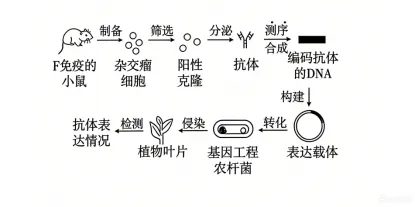 高考真题 | 2026年江西省普通高中学业水平选择性考试生物学试题-第3张图片-四季读书网 高考真题 | 2026年江西省普通高中学业水平选择性考试生物学试题-第3张图片-四季读书网