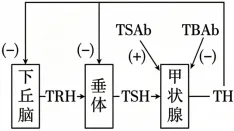 高考真题 | 2026年江西省普通高中学业水平选择性考试生物学试题-第4张图片-四季读书网 高考真题 | 2026年江西省普通高中学业水平选择性考试生物学试题-第4张图片-四季读书网