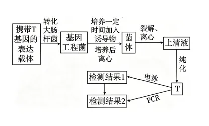 高考真题 | 2026年江西省普通高中学业水平选择性考试生物学试题-第5张图片-四季读书网 高考真题 | 2026年江西省普通高中学业水平选择性考试生物学试题-第5张图片-四季读书网