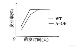 高考真题 | 2026年江西省普通高中学业水平选择性考试生物学试题-第7张图片-四季读书网 高考真题 | 2026年江西省普通高中学业水平选择性考试生物学试题-第7张图片-四季读书网