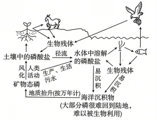 高考真题 | 2026年江西省普通高中学业水平选择性考试生物学试题-第8张图片-四季读书网 高考真题 | 2026年江西省普通高中学业水平选择性考试生物学试题-第8张图片-四季读书网