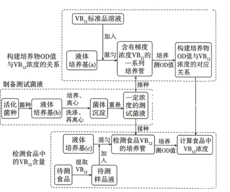 高考真题 | 2026年江西省普通高中学业水平选择性考试生物学试题-第9张图片-四季读书网 高考真题 | 2026年江西省普通高中学业水平选择性考试生物学试题-第9张图片-四季读书网
