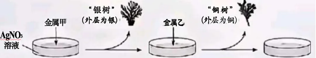 2026年河北省中考化学真题解析-第10张图片-四季读书网 2026年河北省中考化学真题解析-第10张图片-四季读书网