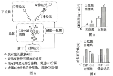 高考真题 | 2026年江西省普通高中学业水平选择性考试生物学试题-第10张图片-四季读书网 高考真题 | 2026年江西省普通高中学业水平选择性考试生物学试题-第10张图片-四季读书网