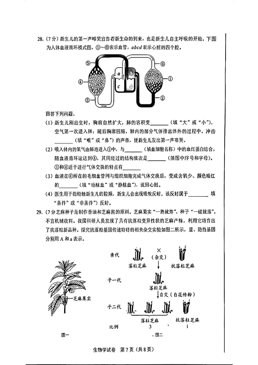 【中考】2026河北“中考”生物真题与答案-第7张图片-四季读书网
