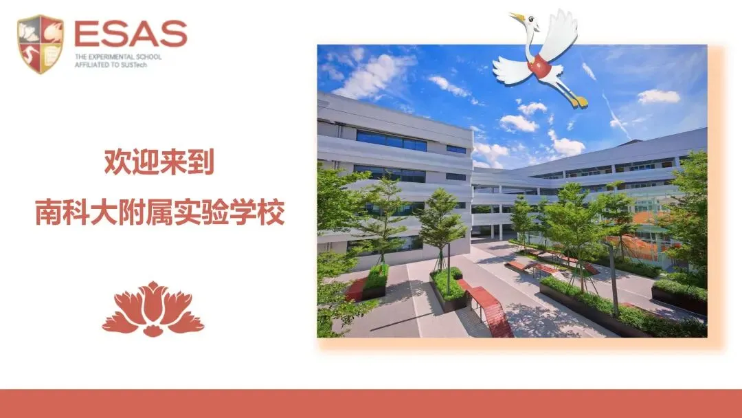 中考首日图鉴|那一抹红,和那一群追梦的少年-第1张图片-四季读书网