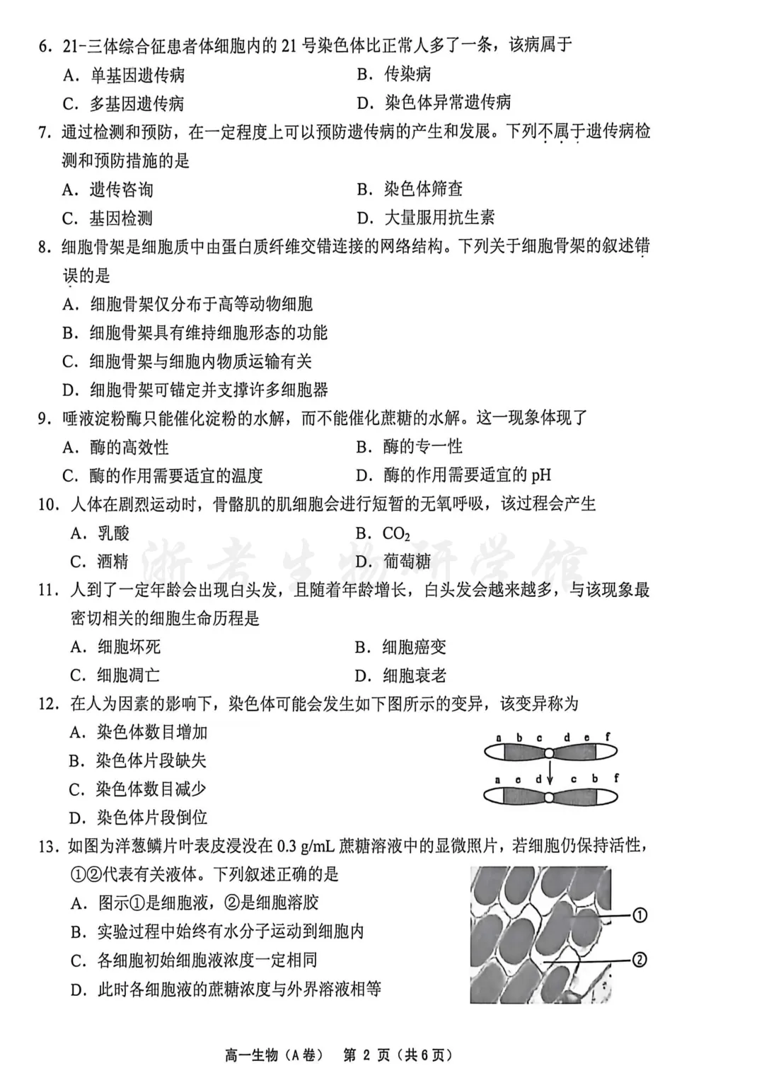 2606 浙江省绍兴柯桥区高一学业水平考试模拟生物试卷(A)、答案、解析及答题卷-第4张图片-四季读书网