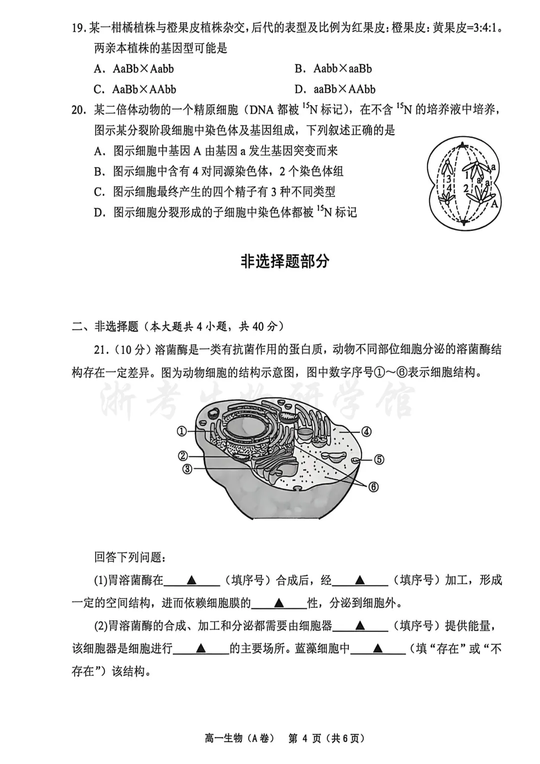 2606 浙江省绍兴柯桥区高一学业水平考试模拟生物试卷(A)、答案、解析及答题卷-第6张图片-四季读书网