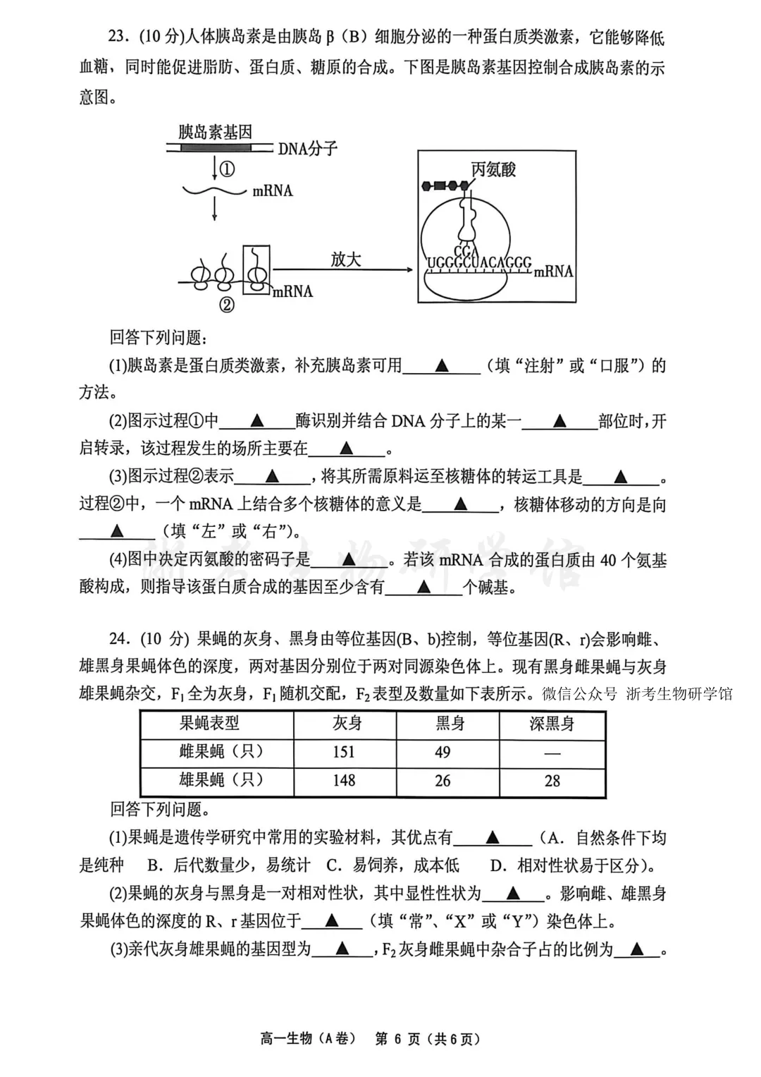 2606 浙江省绍兴柯桥区高一学业水平考试模拟生物试卷(A)、答案、解析及答题卷-第8张图片-四季读书网