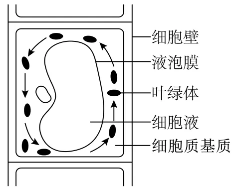 2026年广东省普通高中学业水平合格性考试模拟卷(一)生物试题-第3张图片-四季读书网