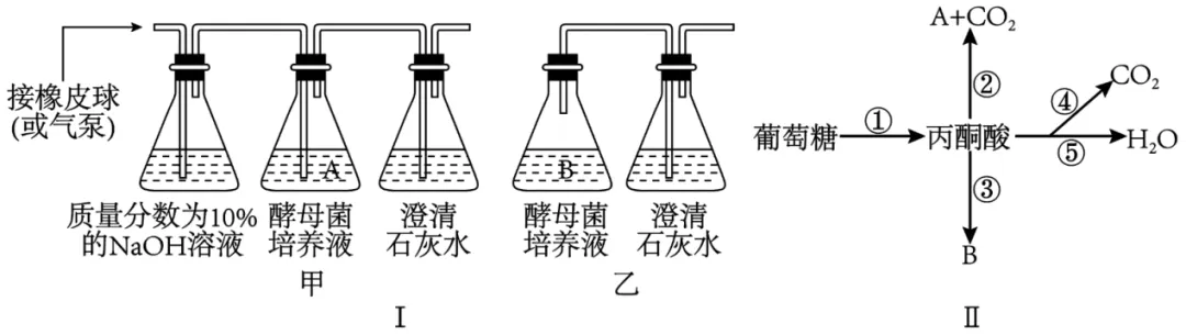 2026年广东省普通高中学业水平合格性考试模拟卷(一)生物试题-第5张图片-四季读书网