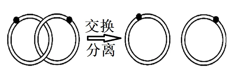 2026年广东省普通高中学业水平合格性考试模拟卷(一)生物试题-第13张图片-四季读书网