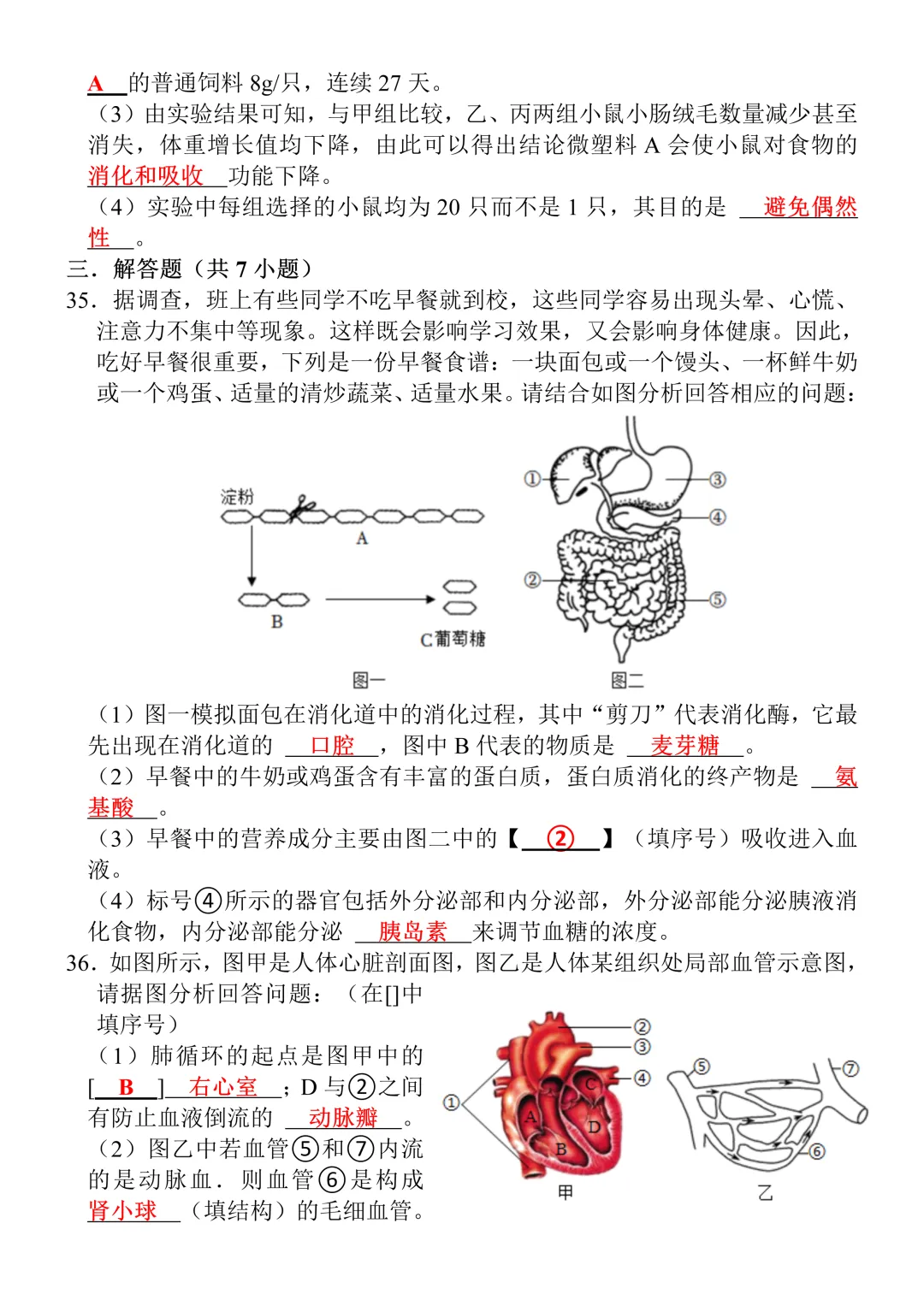 七年级下册生物期末真题测试卷(含答案),打印出来给孩子查漏补缺!-第9张图片-四季读书网