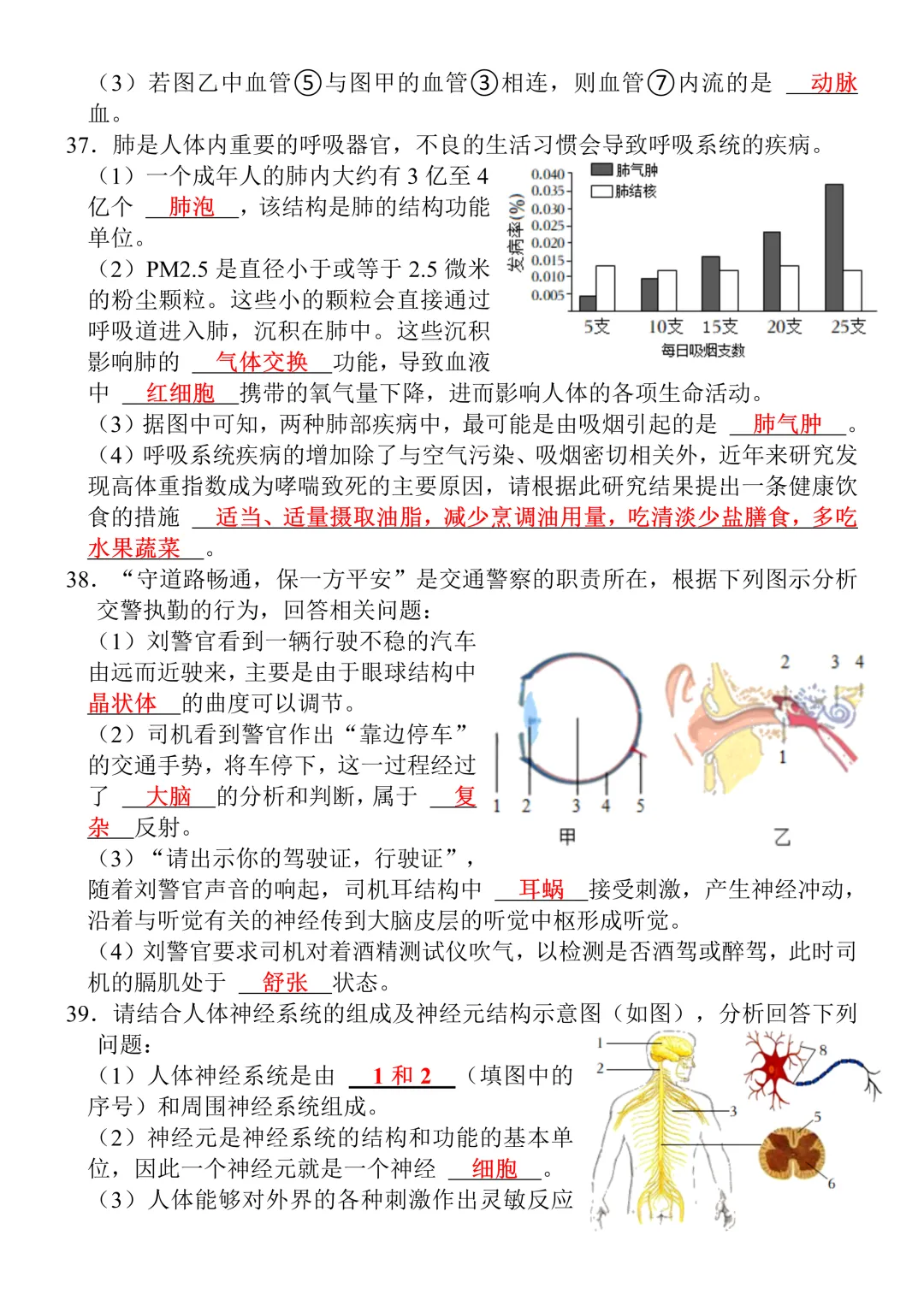 七年级下册生物期末真题测试卷(含答案),打印出来给孩子查漏补缺!-第10张图片-四季读书网