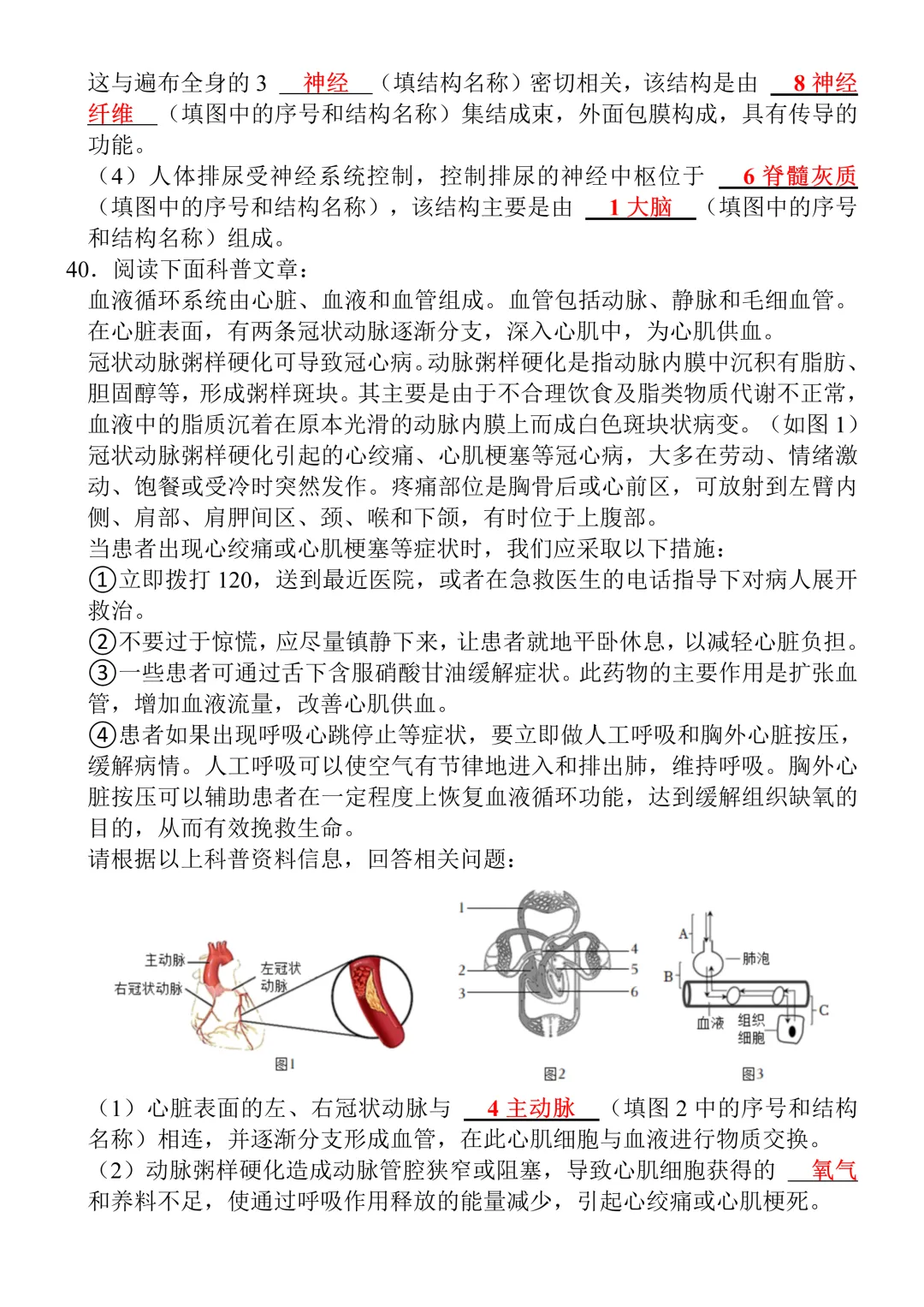 七年级下册生物期末真题测试卷(含答案),打印出来给孩子查漏补缺!-第11张图片-四季读书网