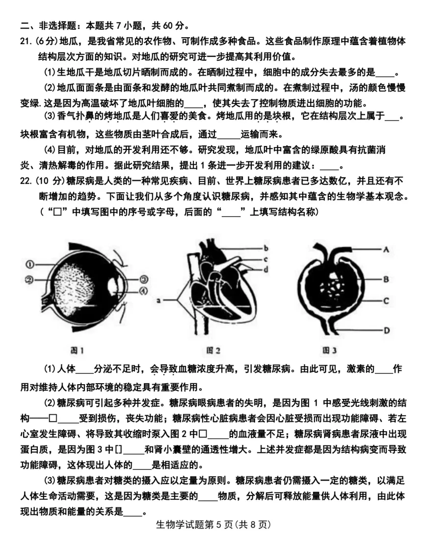 2026年山东省中考生物真题(附下载)-第5张图片-四季读书网