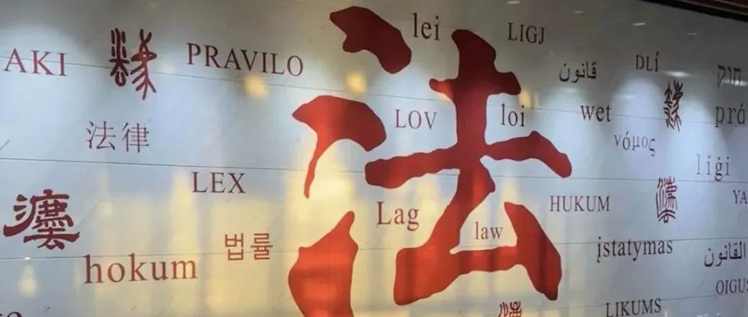 法大考研中如何“榨干”真题价值丨鱼跃蓟门-第14张图片-四季读书网