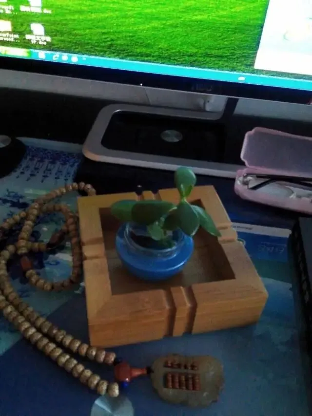 一年一度的高考结束了,中考也结束好多天了,端午也过了.一切淡去如风,仿佛又永远无法淡去.-第1张图片-四季读书网