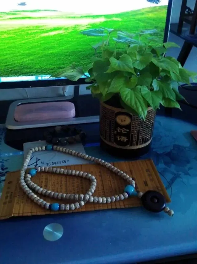 一年一度的高考结束了,中考也结束好多天了,端午也过了.一切淡去如风,仿佛又永远无法淡去.-第2张图片-四季读书网