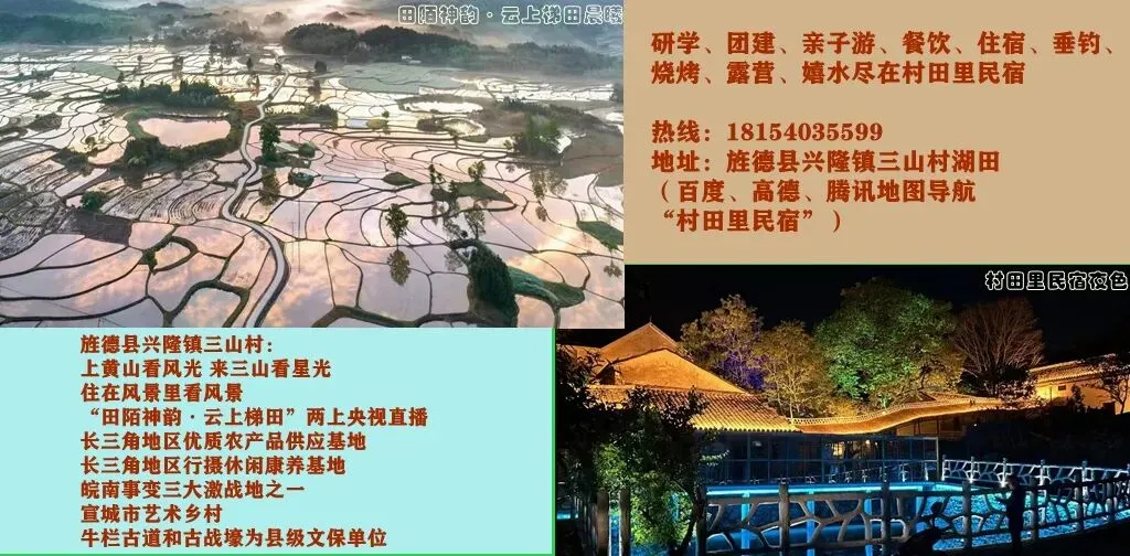 旌德县中考数据出来了!-第2张图片-四季读书网