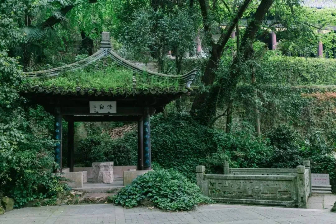 【中考古诗文阅读】清白文化《清白堂记》《鱼我所欲也》广东东莞2026一模-第7张图片-四季读书网