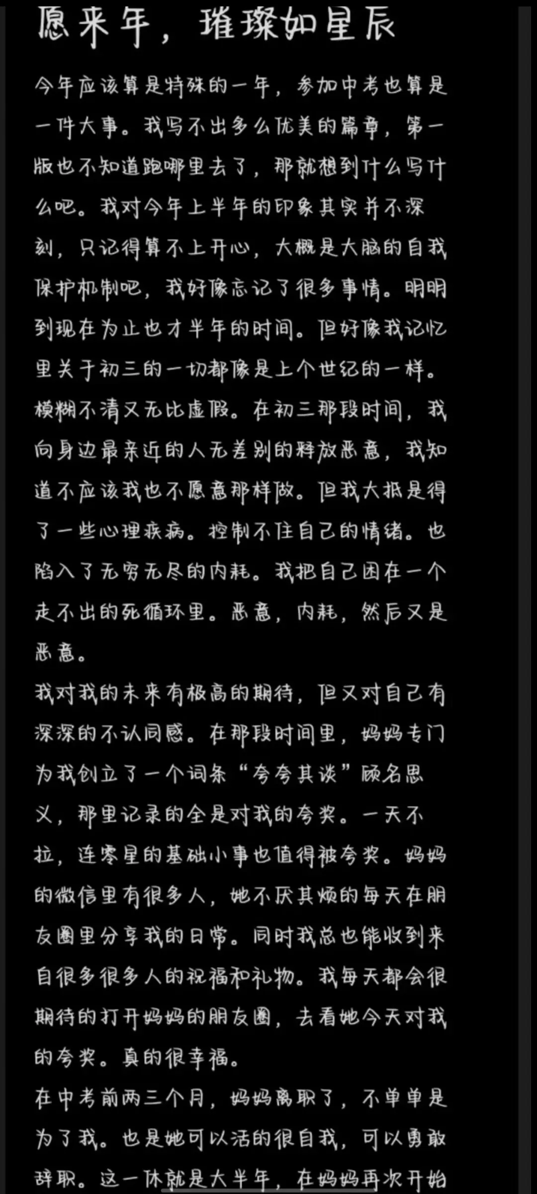 中考从60多到104的逆袭实录,用日记和视频记录真相-第9张图片-四季读书网