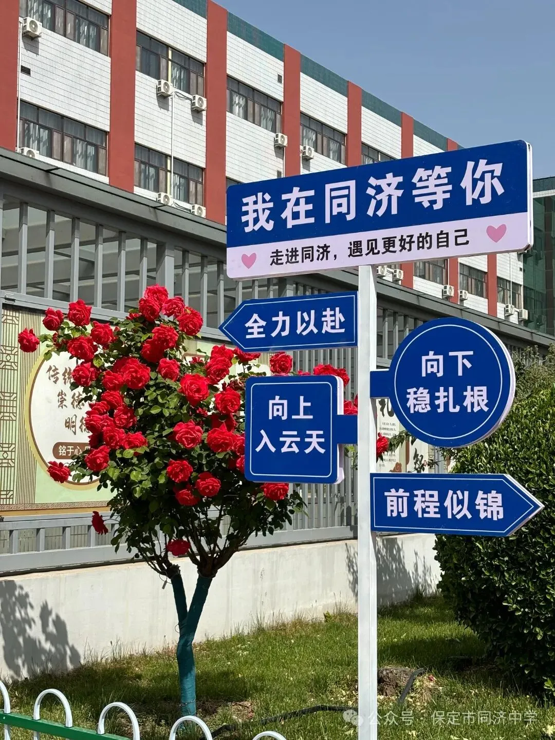 重要通知 | 中考出分前最后一个星期天6月28日同济校园开放日来了!-第14张图片-四季读书网