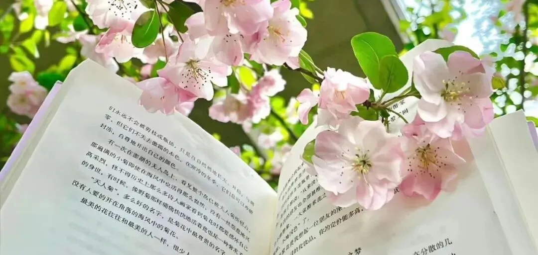 中考落幕,最好的成长礼物,是一张普高入场券-第2张图片-四季读书网