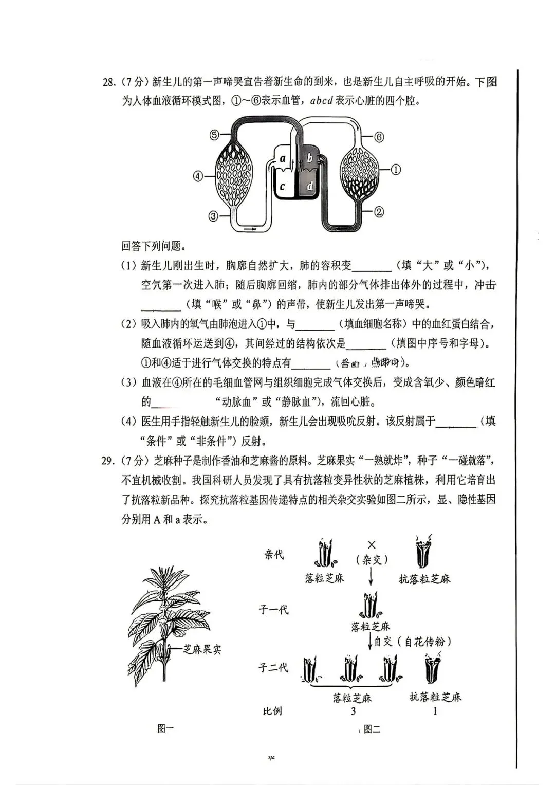 中考真题 | 2026年河北省中考生物试题含官方答案-第12张图片-四季读书网