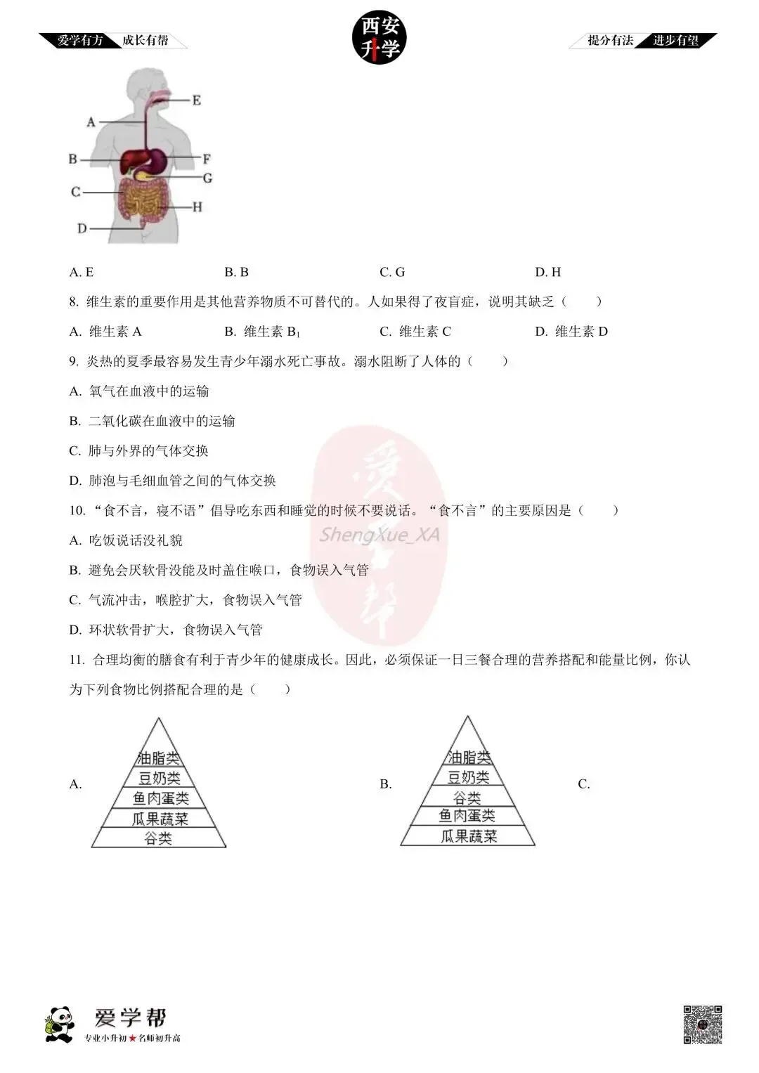 【初中名校 往年真题】七下期末:西工大附中~生物(含答案)-第3张图片-四季读书网