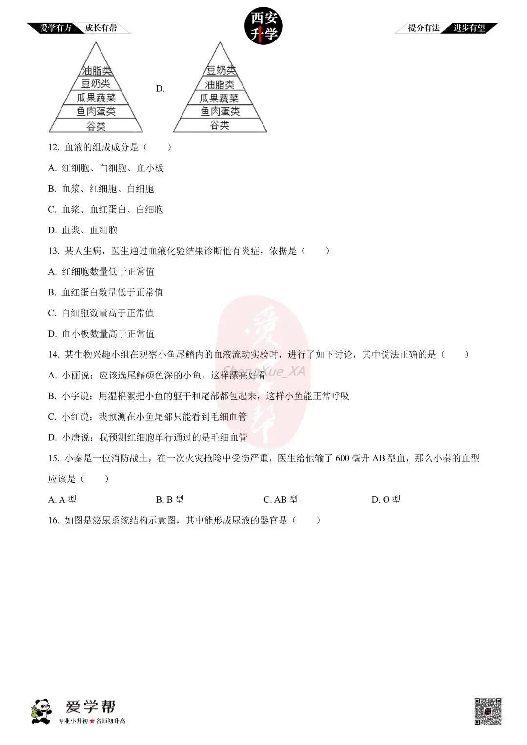 【初中名校 往年真题】七下期末:西工大附中~生物(含答案)-第4张图片-四季读书网