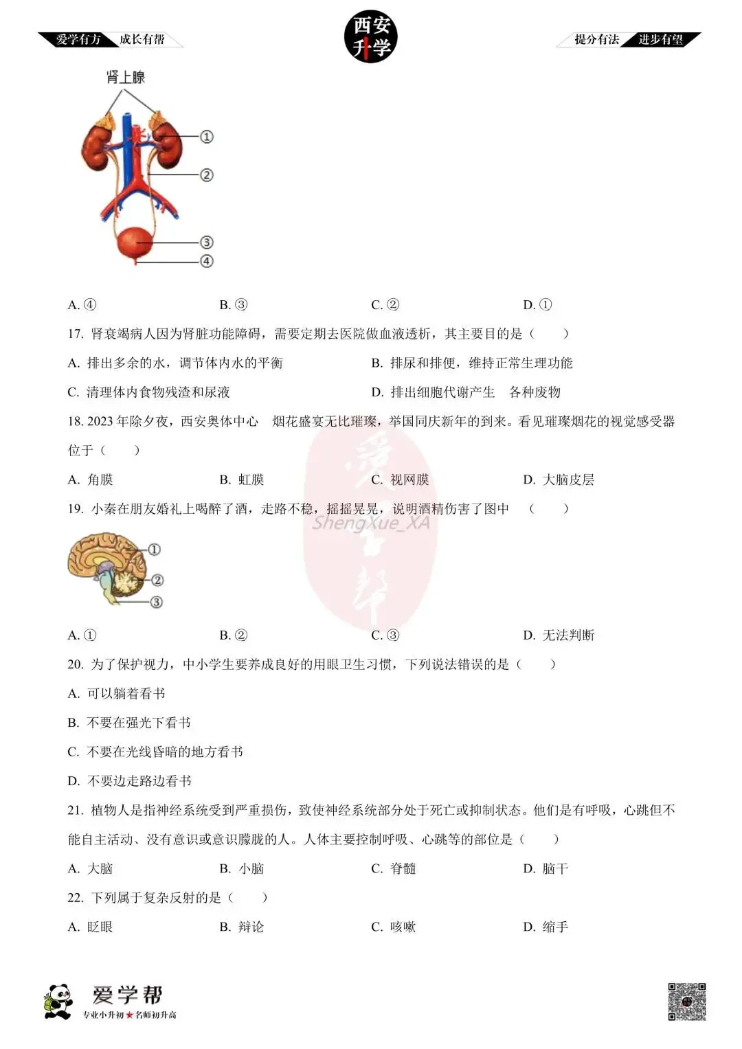 【初中名校 往年真题】七下期末:西工大附中~生物(含答案)-第5张图片-四季读书网
