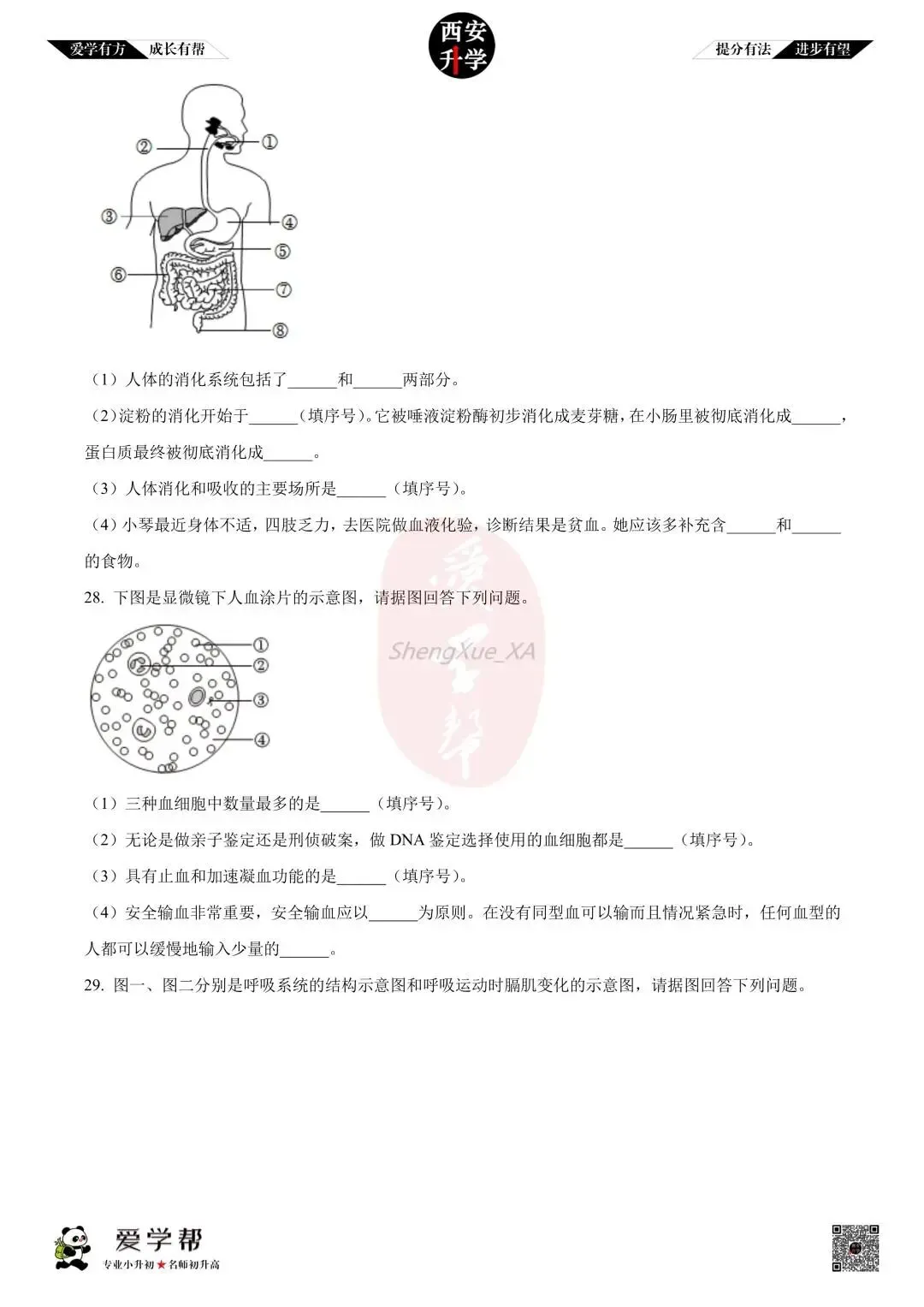 【初中名校 往年真题】七下期末:西工大附中~生物(含答案)-第7张图片-四季读书网