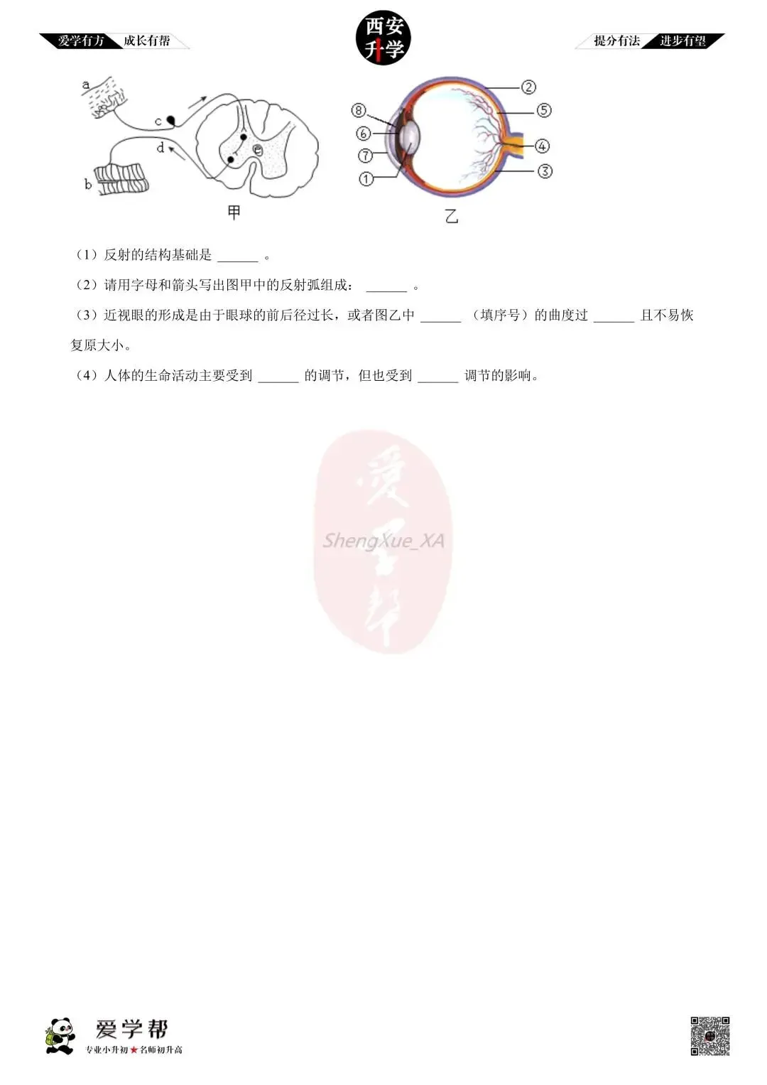 【初中名校 往年真题】七下期末:西工大附中~生物(含答案)-第9张图片-四季读书网
