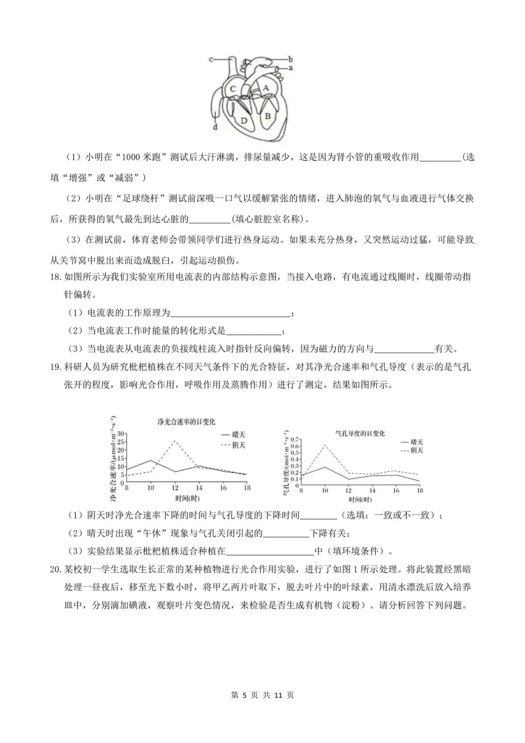 2026 年八年级下册科学期末考试模拟测试卷(含答案),多套可打印!-第5张图片-四季读书网